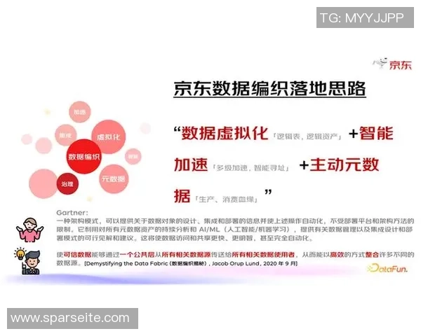 数据公司实时分析如何助力中场战术调整与决策优化